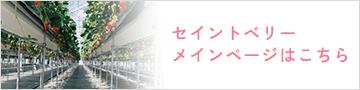 セイントベリーメインページはこちら