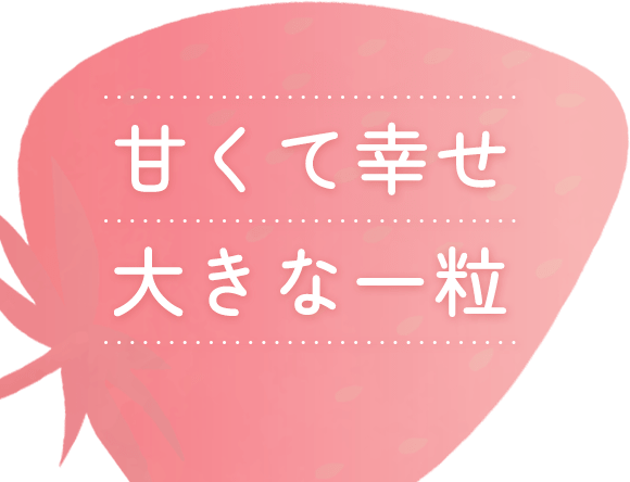 甘くて幸せ大きな一粒